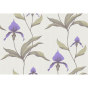 Английские обои Cole & Son, коллекция Contemporary Selection, артикул 66/4024