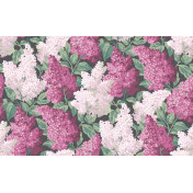 Английские обои Cole & Son, коллекция Botanical Botanica, артикул 115/1001