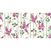 Английские обои Cole & Son, коллекция Botanical Botanica, артикул 115/5013