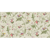 Английские обои Cole & Son, коллекция Collection of Flowers, артикул 62/1002