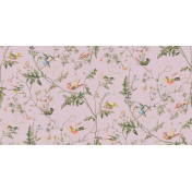 Английские обои Cole & Son, коллекция Collection of Flowers, артикул 62/1003