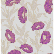 Английские обои Cole & Son, коллекция Collection of Flowers, артикул 81/1004