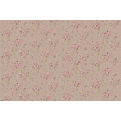 Английские обои Cole & Son, коллекция Collection of Flowers, артикул 81/11045