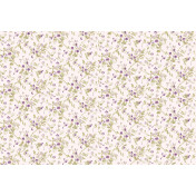 Английские обои Cole & Son, коллекция Collection of Flowers, артикул 81/11047