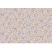 Английские обои Cole & Son, коллекция Collection of Flowers, артикул 81/11049