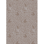 Английские обои Cole & Son, коллекция Collection of Flowers, артикул 81/2006