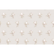 Английские обои Cole & Son, коллекция Collection of Flowers, артикул 81/4015
