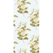 Английские обои Cole & Son, коллекция Collection of Flowers, артикул 81/6023