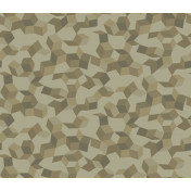 Английские обои Cole & Son, коллекция Curio, артикул 107/5024