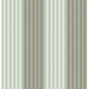Английские обои Cole & Son, коллекция Festival Stripes, артикул 96/9050