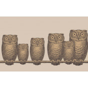 Английские обои Cole & Son, коллекция Fornasetti II, артикул 97/5016