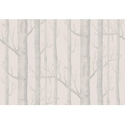 Английские обои Cole & Son, коллекция Icons, артикул 112/3011