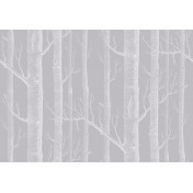 Английские обои Cole & Son, коллекция Icons, артикул 112/3012