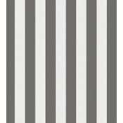 Английские обои Cole & Son, коллекция Marquee Stripes, артикул 110/3016