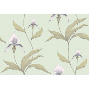 Английские обои Cole & Son, коллекция New Contemporary, артикул 66/4028