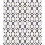 Английские обои Cole & Son, коллекция New Contemporary, артикул 66/8055