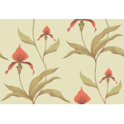 Английские обои Cole & Son, коллекция New Contemporary, артикул 66/4033