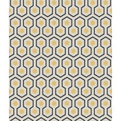 Английские обои Cole & Son, коллекция New Contemporary, артикул 66/8056