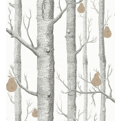 Английские обои Cole & Son, коллекция The Contemporary Collection, артикул 95-5027