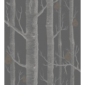 Английские обои Cole & Son, коллекция The Contemporary Collection, артикул 95-5031