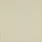 Английские обои Colefax and Fowler, коллекция Ashbury, артикул 07985-01