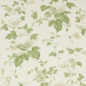 Английские обои Colefax and Fowler, коллекция Jardine Florals, артикул 07816/09