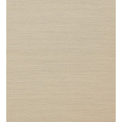 Английские обои Colefax and Fowler, коллекция Textured, артикул 07179-03