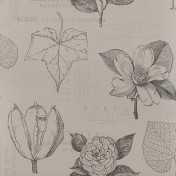 Шведские обои Collection For Walls, коллекция Classic I, артикул 200603