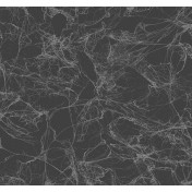 Американские обои Collins & Company, коллекция Casa Blanca 2, артикул AW71420