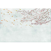 Испанские обои Coordonne, коллекция Random Papers issue, артикул 6600087