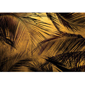 Испанские обои Coordonne, коллекция Random Papers issue, артикул 6800401