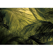 Испанские обои Coordonne, коллекция Random Papers issue, артикул 6800403