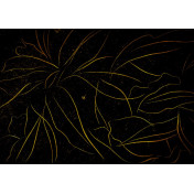 Испанские обои Coordonne, коллекция Random Papers issue, артикул 6800409