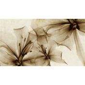 Испанские обои Coordonne, коллекция Random Papers issue, артикул 6800410