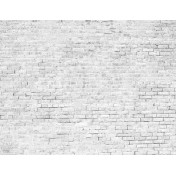 Испанские обои Coordonne, коллекция Random Papers issue, артикул 6800618