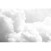 Испанские обои Coordonne, коллекция Random Papers issue, артикул 6800701