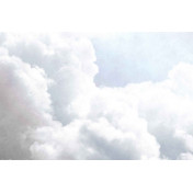 Испанские обои Coordonne, коллекция Random Papers issue, артикул 6800702