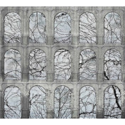 Испанские обои Coordonne, коллекция Random Papers issue, артикул 6800730