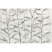 Испанские обои Coordonne, коллекция Random Papers issue, артикул 7800996