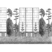 Испанские обои Coordonne, коллекция Random Papers issue, артикул 8000077