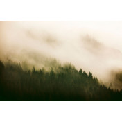 Испанские обои Coordonne, коллекция Random Papers, артикул 6500204V