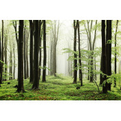 Испанские обои Coordonne, коллекция Random Papers, артикул 6500208N