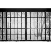 Испанские обои Coordonne, коллекция Random Papers, артикул 6500209N