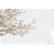 Испанские обои Coordonne, коллекция Random Papers, артикул 6500305N