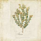 Испанские обои Coordonne, коллекция Random Papers, артикул 6500503N