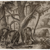 Испанские обои Coordonne, коллекция Random Papers, артикул 6500506N