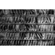 Испанские обои Coordonne, коллекция Random Papers, артикул 6500704V