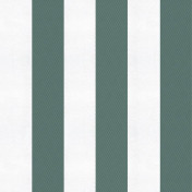 Испанские обои Coordonne, коллекция Stripes & Checks, артикул A00736N