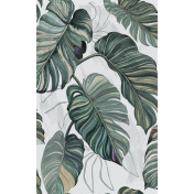 Испанские обои Coordonne, коллекция Wander, артикул 9200003V