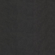 Бельгийские обои Covers, коллекция Chroma, артикул 10-Raven